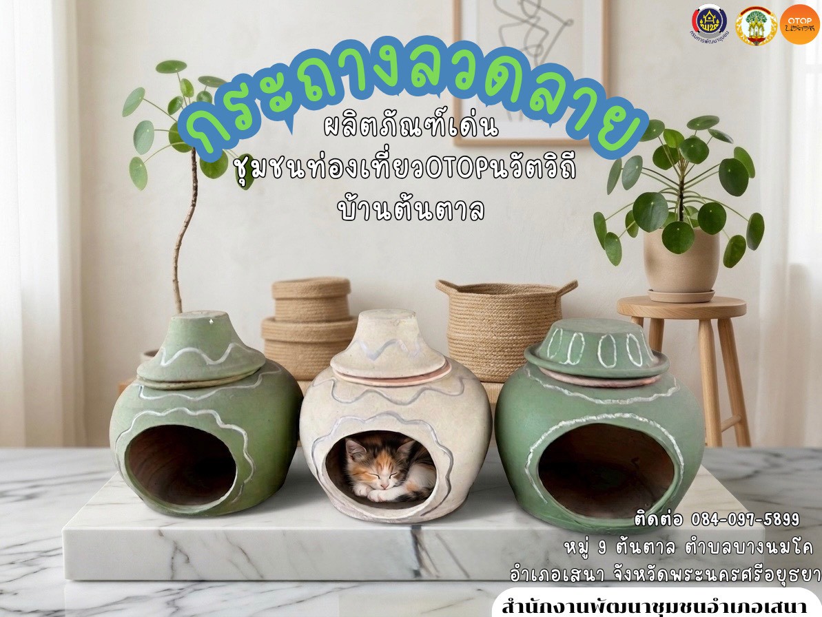 📢สพอ.เสนา🍃 :  ร้อนนี้ น้อนแมวต้องรอด! 🧊✨ ไอเทมลับ "กระถางลวดลาย" ชวนเที่ยว ชิม ช้อป OTOP นวัตวิถี